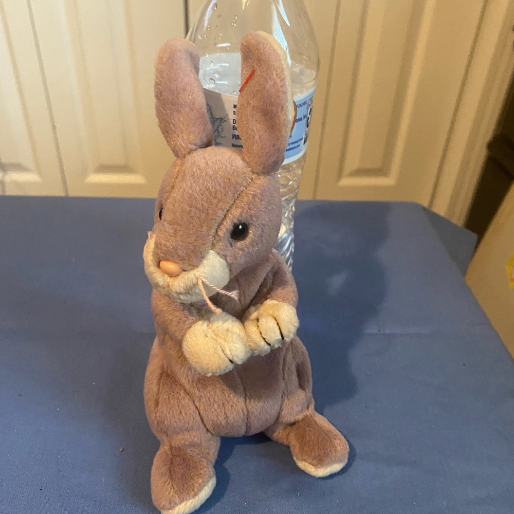 Ty beanie babies Springy